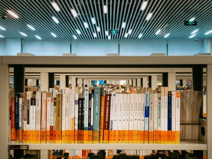 Slottio Casino Application mobile